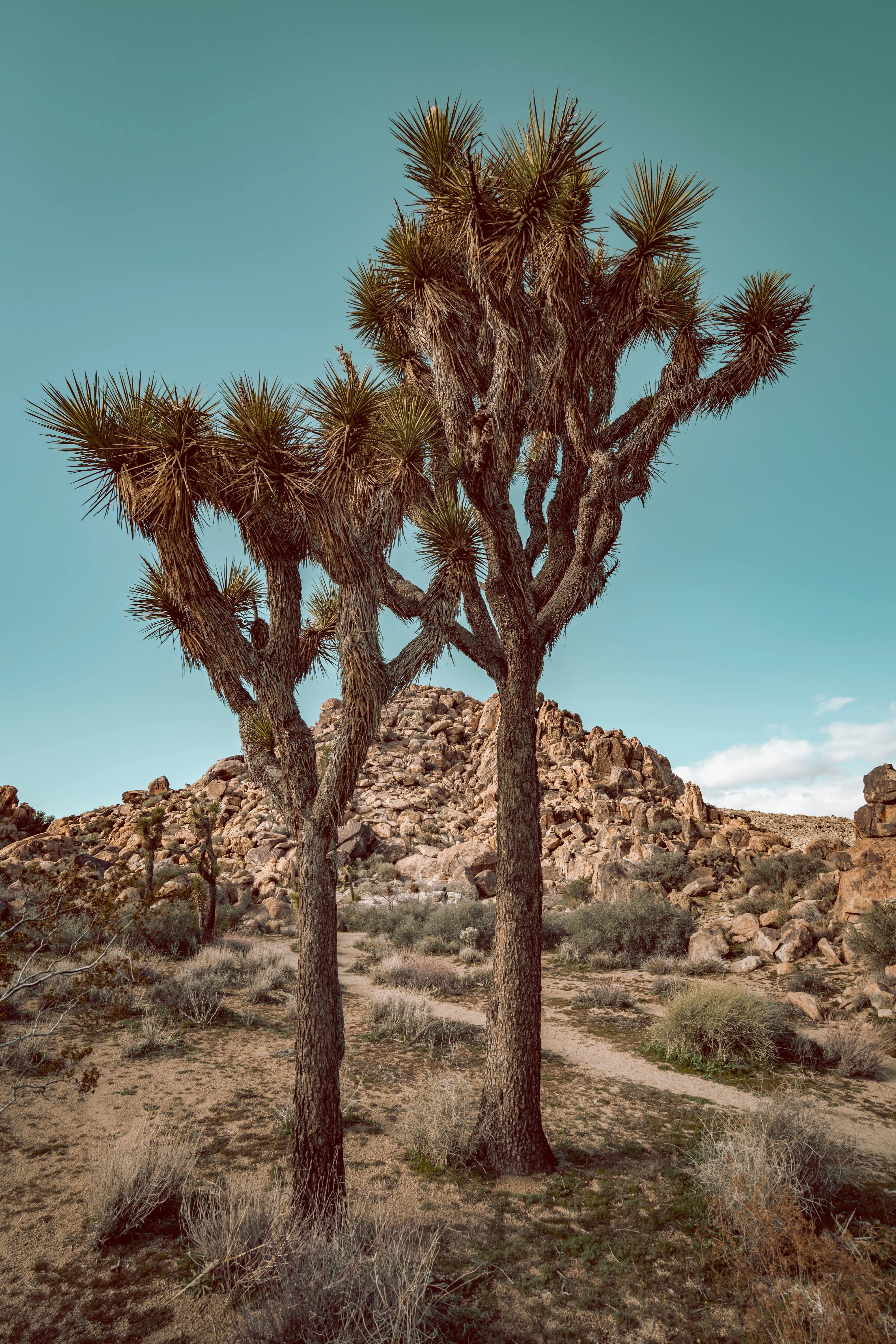 Travel photograph by AJ Latteri