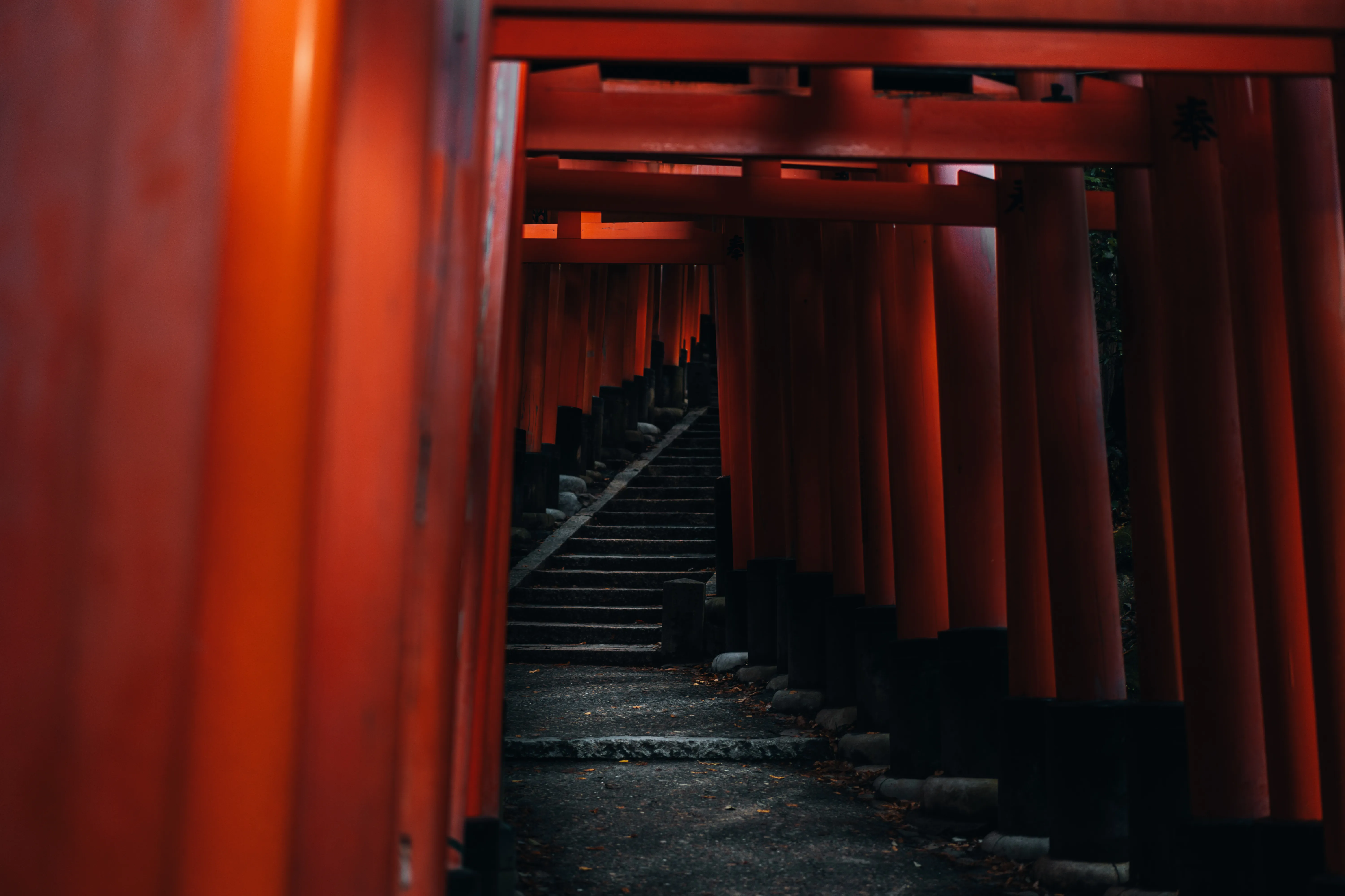 Travel photograph by AJ Latteri