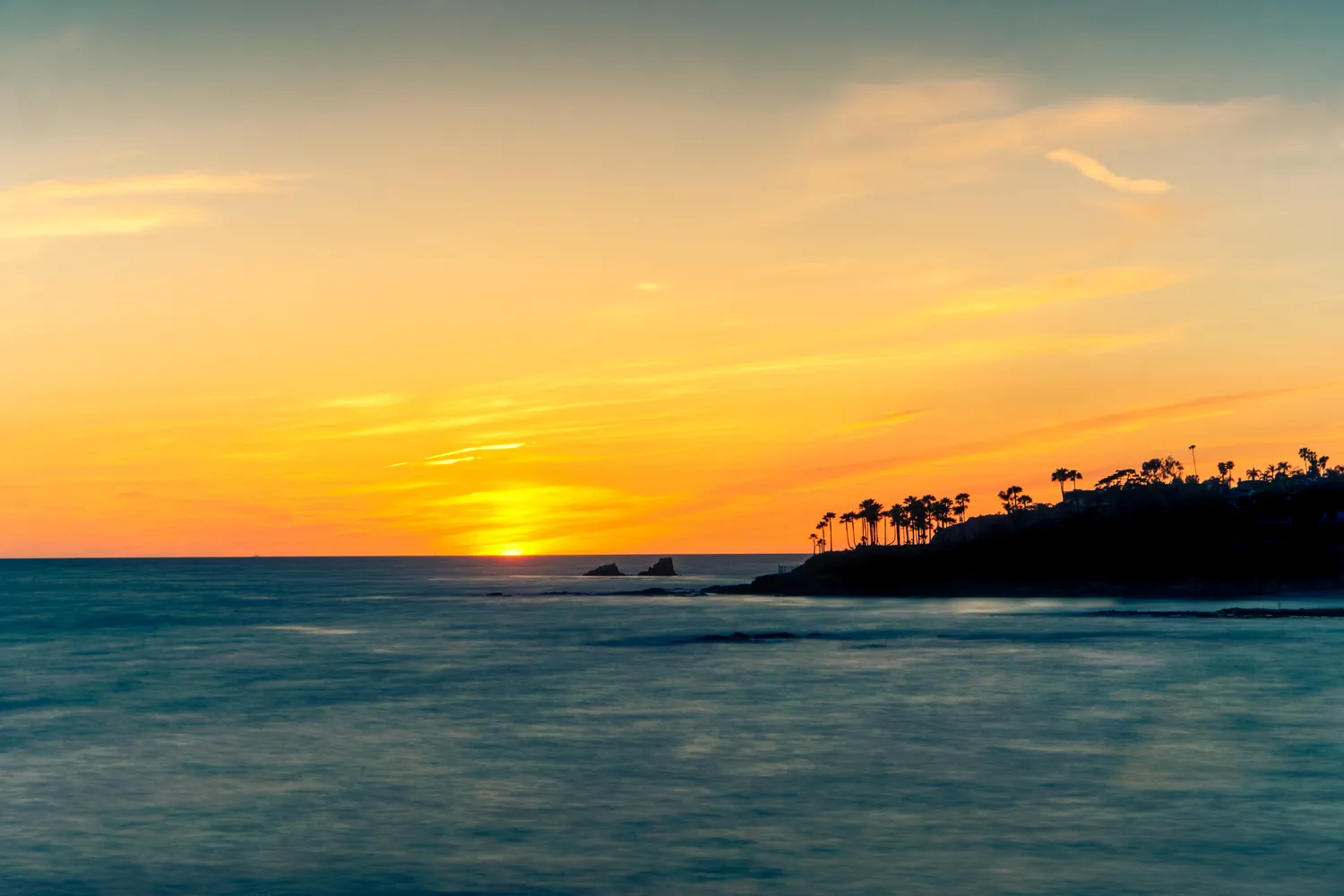Nature photograph by AJ Latteri