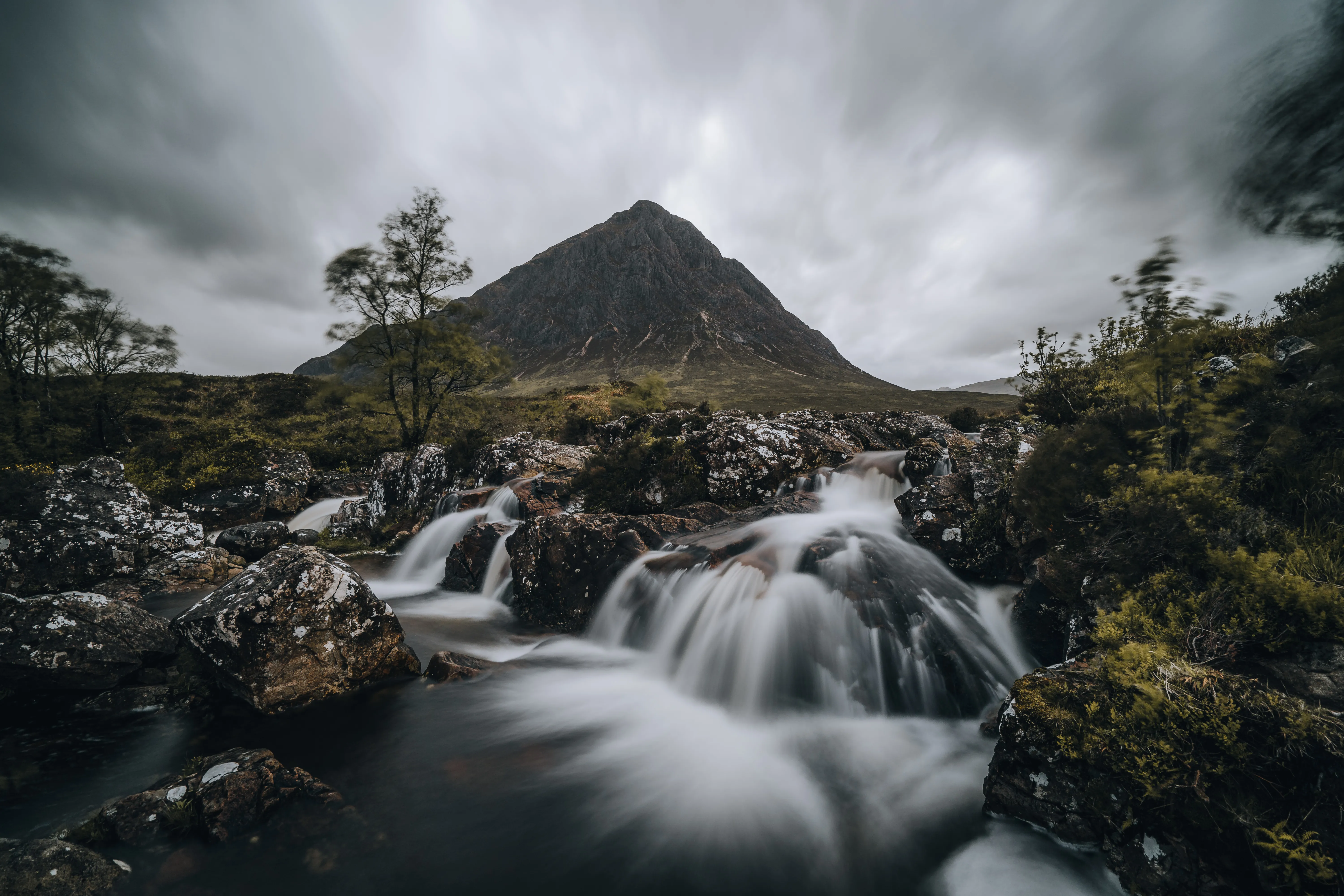 Nature photograph by AJ Latteri