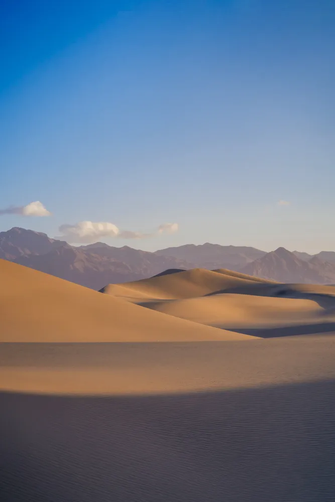 Nature photograph by AJ Latteri