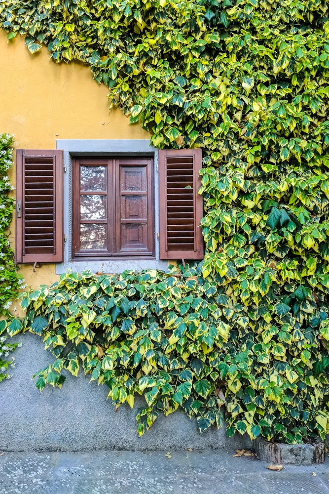 Travel photograph by AJ Latteri