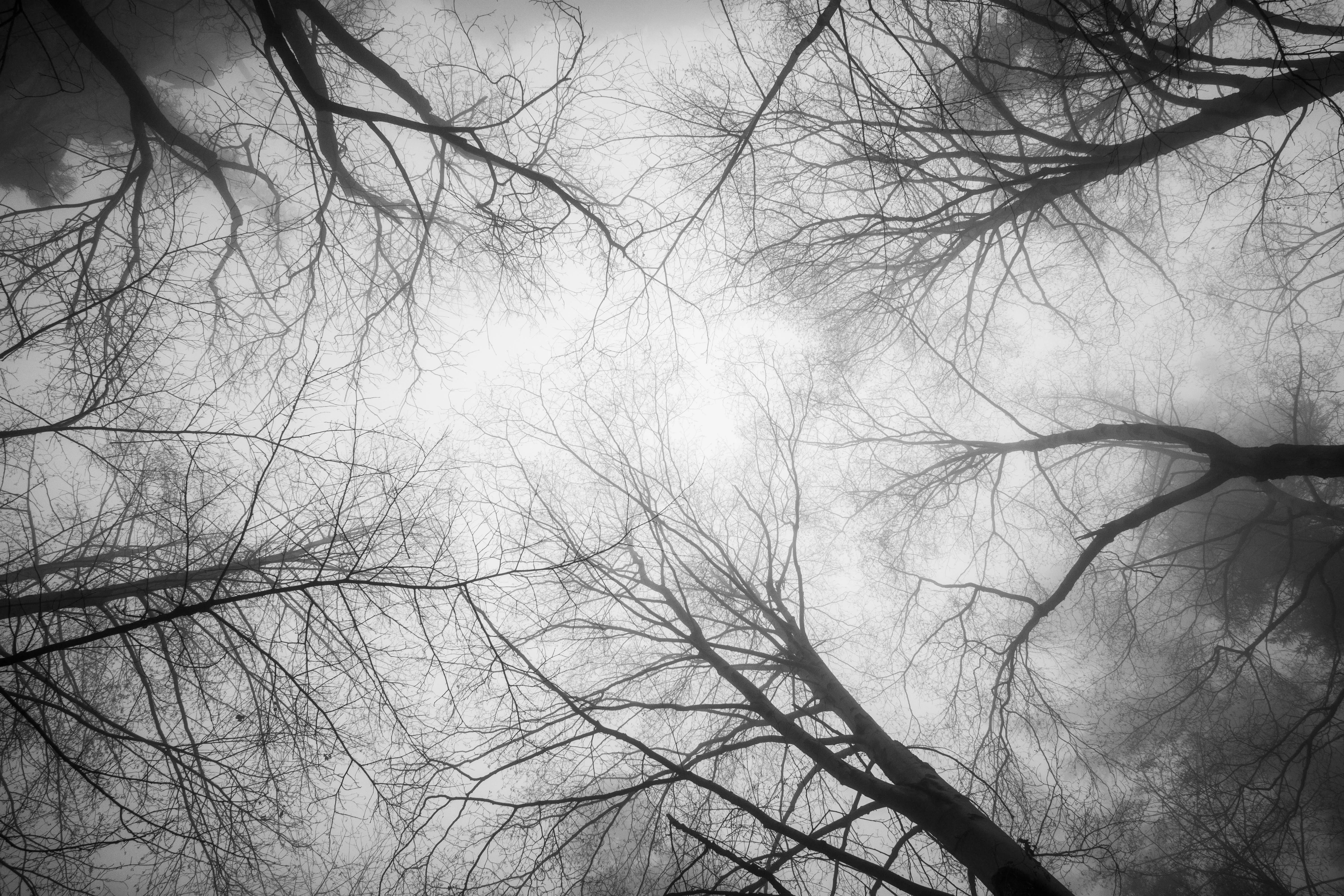 Nature photograph by AJ Latteri